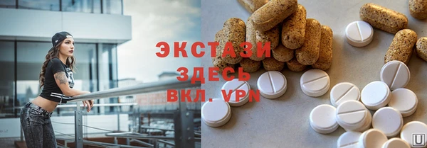 стаф Касимов