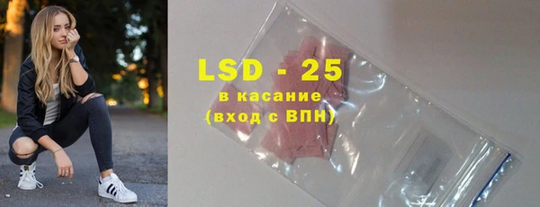 стаф Касимов
