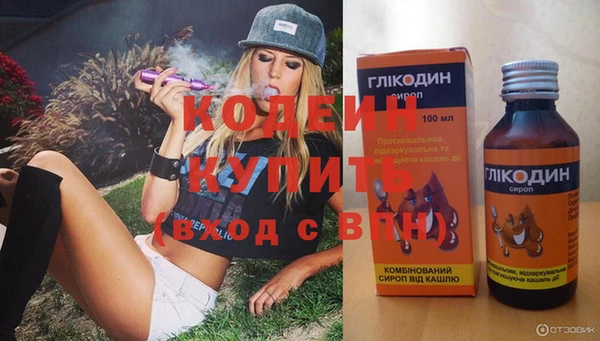 стаф Касимов