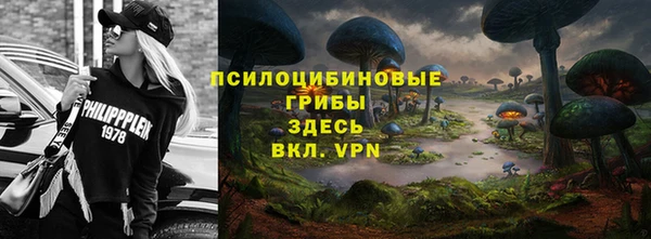 стаф Касимов