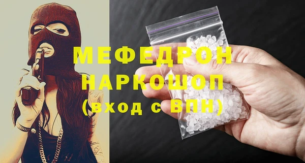 стаф Касимов