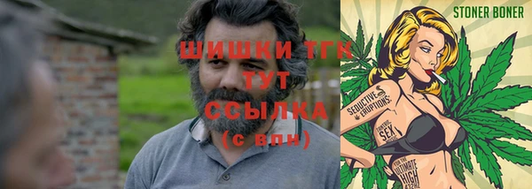 стаф Касимов