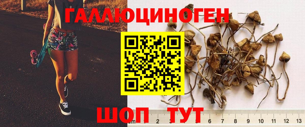 Димитровград  Галлюциногенные грибы Magic Shrooms  продажа наркотиков  Вход с VPN  Галлюциногенные грибы Magic Shrooms 