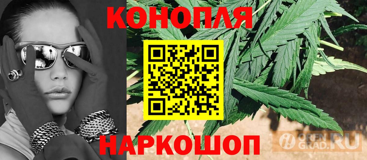 Канабис планчик  Вход с VPN  Бошки Шишки MAZAR  Димитровград 