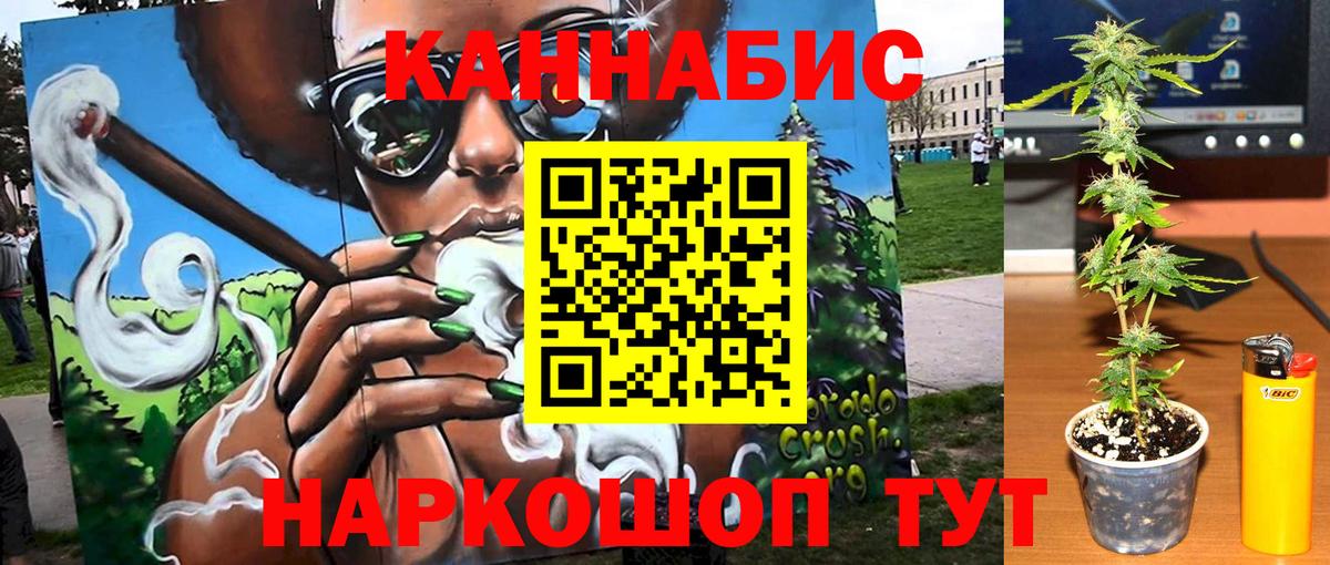 Бошки марихуана OG Kush Димитровград